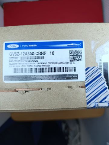 Мізки мотора GV6Z12A650CBNP FORD
