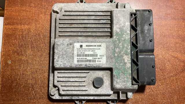 55566039HK Opel