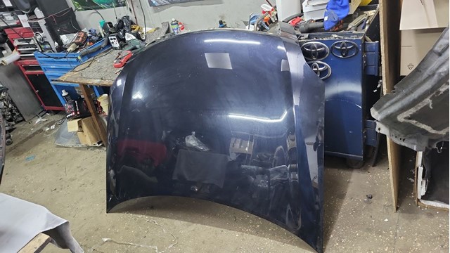 Капот F510M9W5MA NISSAN
