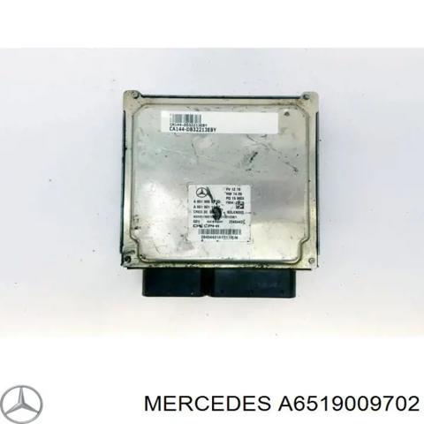 Блок електронного управління A6519009702 MERCEDES
