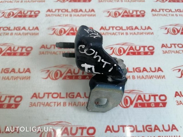 Петля задніх дверей, лівих BB5Z7826801C FORD