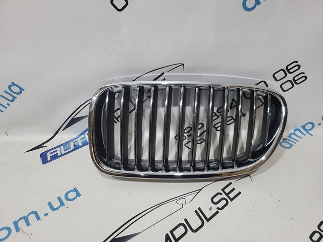 Решітка радіатора ліва 51137203649 BMW