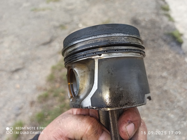 Поршня на 1 циліндр, STD 11257788397 BMW