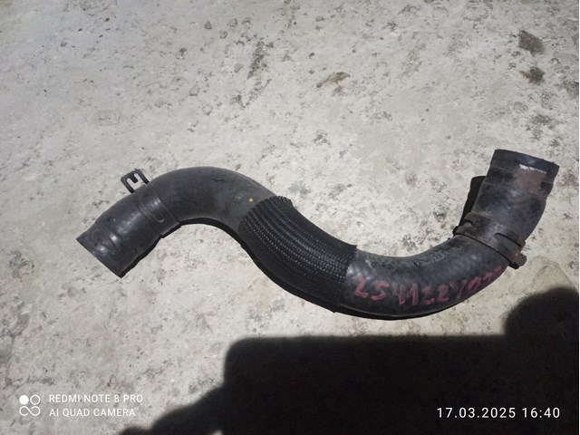 Шланг/патрубок радіатора охолодження, нижній 254122Y000 HYUNDAI