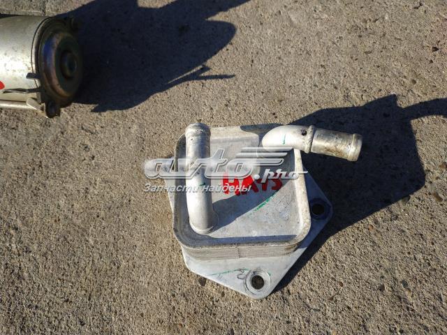 Радіатор охолодження, АКПП 255605LJ004 HONDA