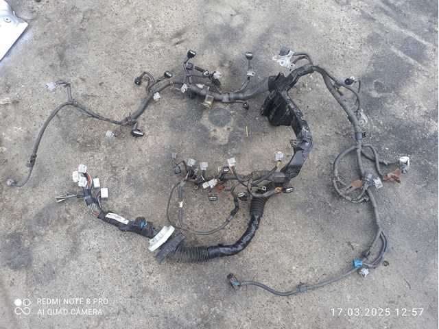Електропроводка моторного віддсіка 821216A504 TOYOTA
