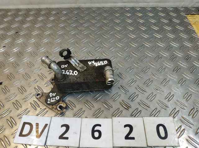 Радіатор охолодження, АКПП 09G409061F VAG