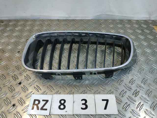 Захисна решітка радіатора 51137294805 BMW