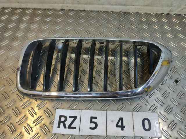 Захисна решітка радіатора 51137412421 BMW