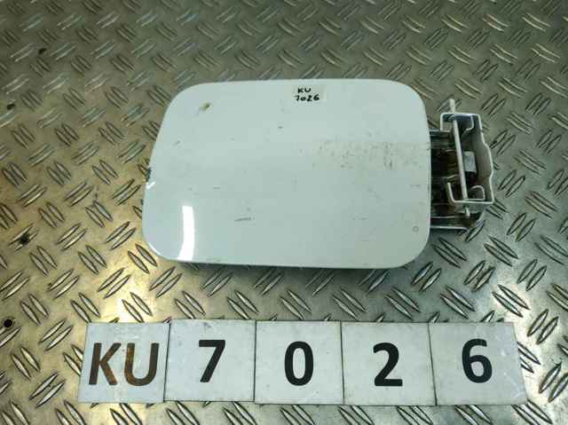 Люк б/бака 788304567R RENAULT