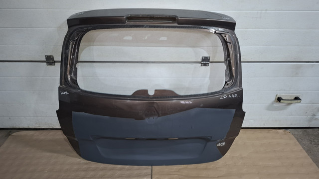Задня ляда 901006104R RENAULT
