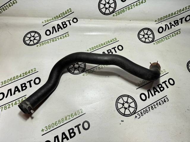Шланг/патрубок радіатора охолодження, нижній 21503BM505 NISSAN