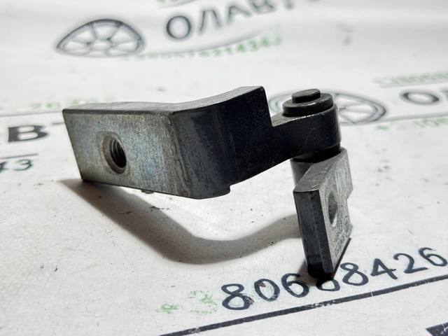Петля задніх дверей, лівих 41527284543 BMW