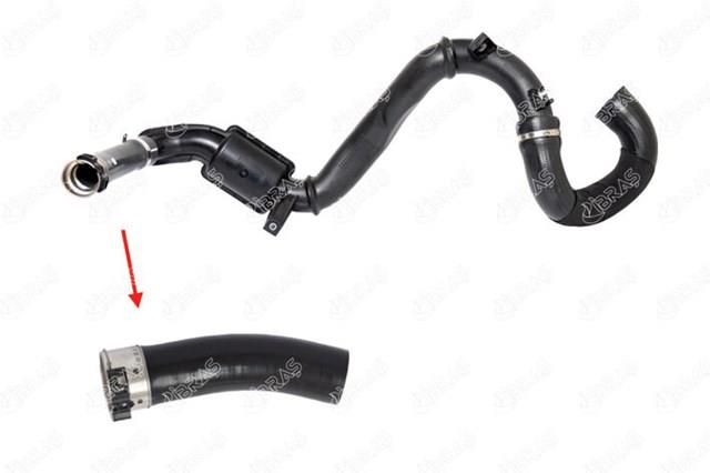 Шланг/патрубок інтеркуллера 8200923261 NISSAN