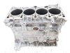 Двигун у зборі Volkswagen Golf PLUS 6