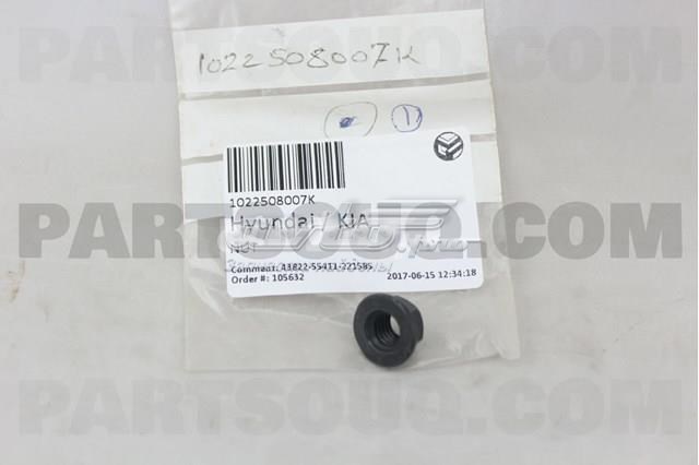 Гайка кріплення приймальної труби глушника (штанів) 1022508007K HYUNDAI