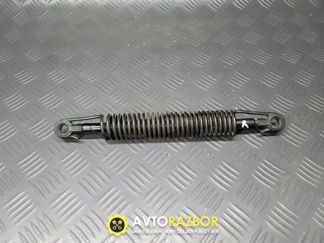 Амортизатор двері 3/5-ї задньої 51247141490 BMW
