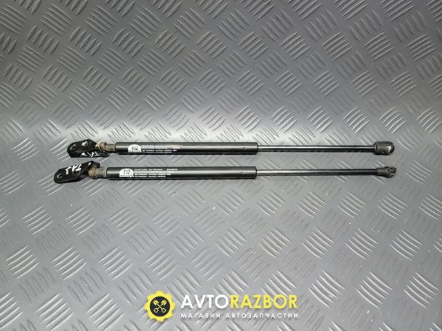 Амортизатор кришки багажника / двері 3/5-ї задньої 6896009100 TOYOTA