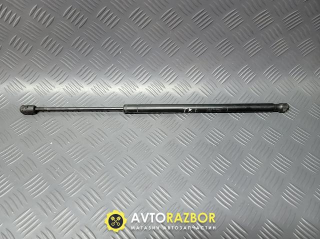 Амортизатор двері задньої 689600F010 TOYOTA