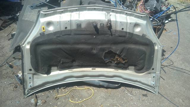 Капот 1160008 GM