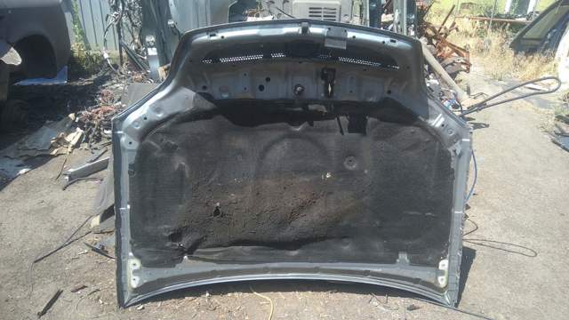 Капот 1160009 GM
