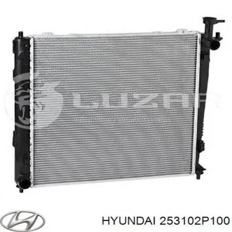 Радіатор основний 253102P100 HYUNDAI