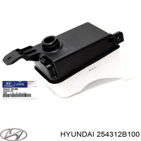 Розширювальний бачок охолодження 254312B100 HYUNDAI