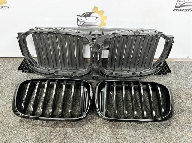 Захисна решітка радіатора 51138096590 BMW