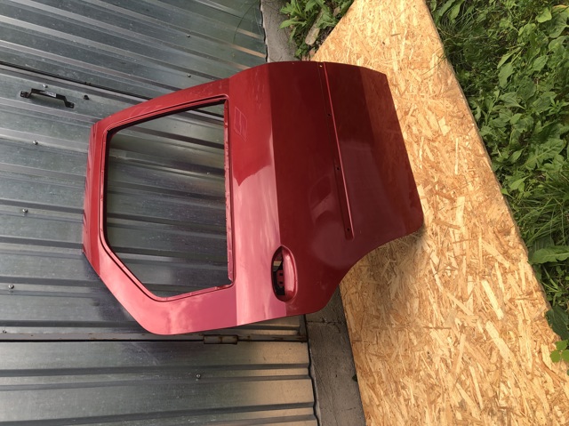 Двері задні в зборі 821002232R RENAULT