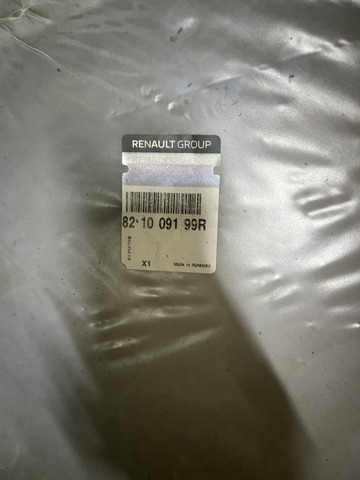 Двері задні в зборі 821009199R RENAULT