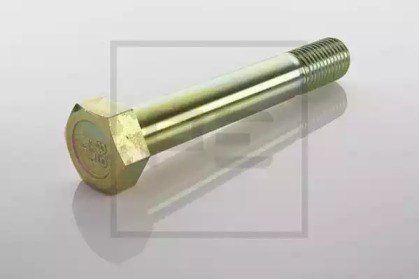 Палець сережки задньої ресори 04403400A PE AUTOMOTIVE