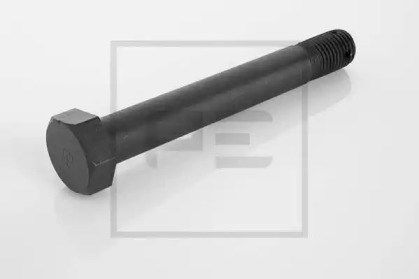 Палець сережки задньої ресори 12401600A PE AUTOMOTIVE