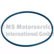 Прокладка датчика рівня (топл.бак) 332038040 PIERBURG