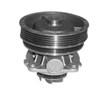 Водяний насос охолодження, з корпусом 352316170322 MAGNETI MARELLI