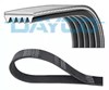 Ремінь кондиціонера 5PK1230HD DAYCO