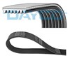 Клиновий ремінь 7PK2535 DAYCO
