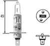 Лампочка галогенна 8GH002089251 HELLA