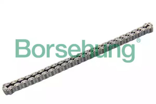 Ланцюг B17876 BORSEHUNG