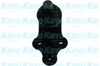 Кульові на авто SBJ4021 KAVO PARTS