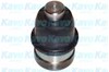 Кульові на авто SBJ5522 KAVO PARTS