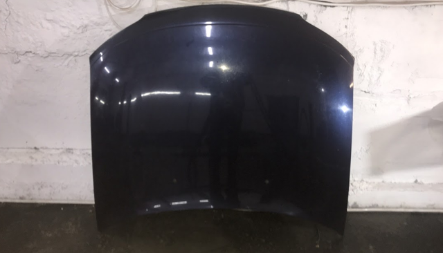 Капот 1160221 GM