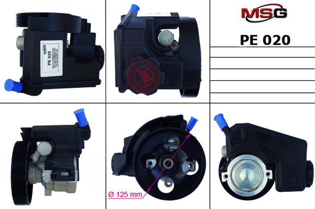 Насос гідравліки PE020 MS GROUP