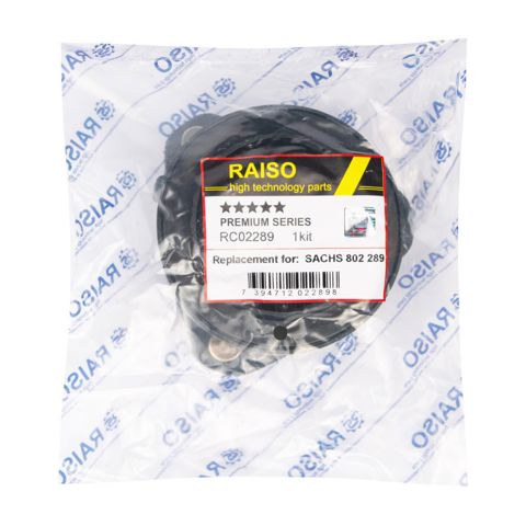 Кріплення переднього амортизатора RC02289 RAISO