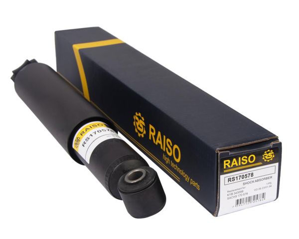 Амортизаційна стійка задня RS170578 RAISO