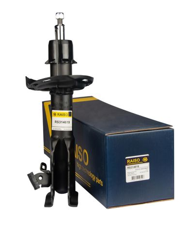 Амортизатор передньої підвіски RS314619 RAISO