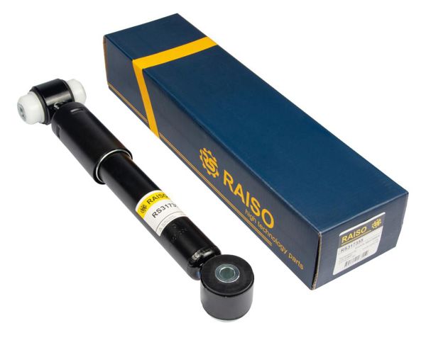 Циліндр підвіски RS317355 RAISO