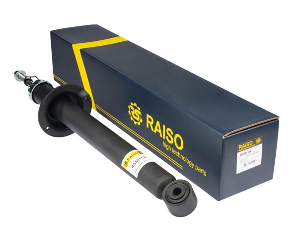Стійка задня, ліва RS551124 RAISO
