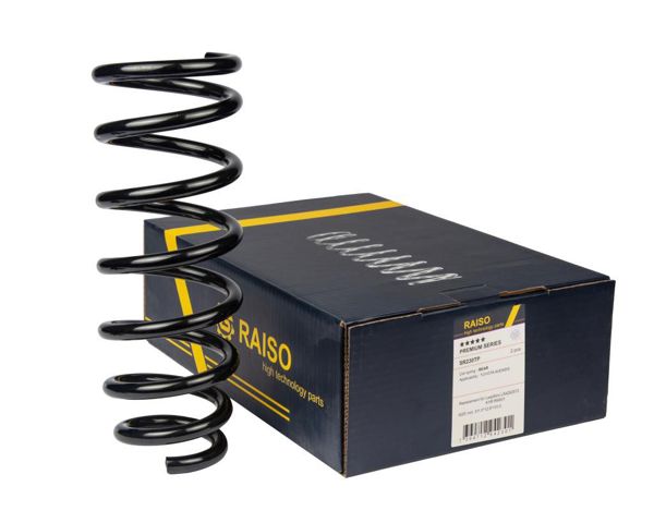Пружини задні SR230TP RAISO