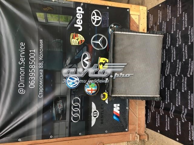 Оперення в зборі A9068800403 MERCEDES