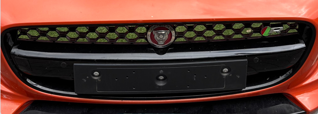 Емблема на решітку радіатора C2D45429 JAGUAR